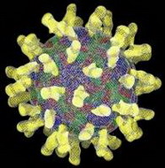 о структуре вируса гриппа