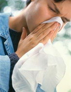 обычная простуда может спасти от птичьего гриппа
