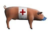 лечение свиного гриппа