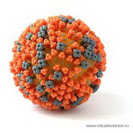 эксперт: грипп a/h1n1 - это мутация двух свиных вирусов