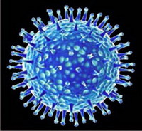 история вируса гриппа