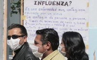 совет европы: была ли пандемия свиного гриппа?