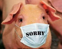страсти по гриппу а(h1n1): кому выгодна «свиная» паника в интернете
