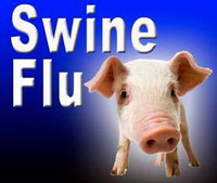 свиной грипп. действительно опасно?